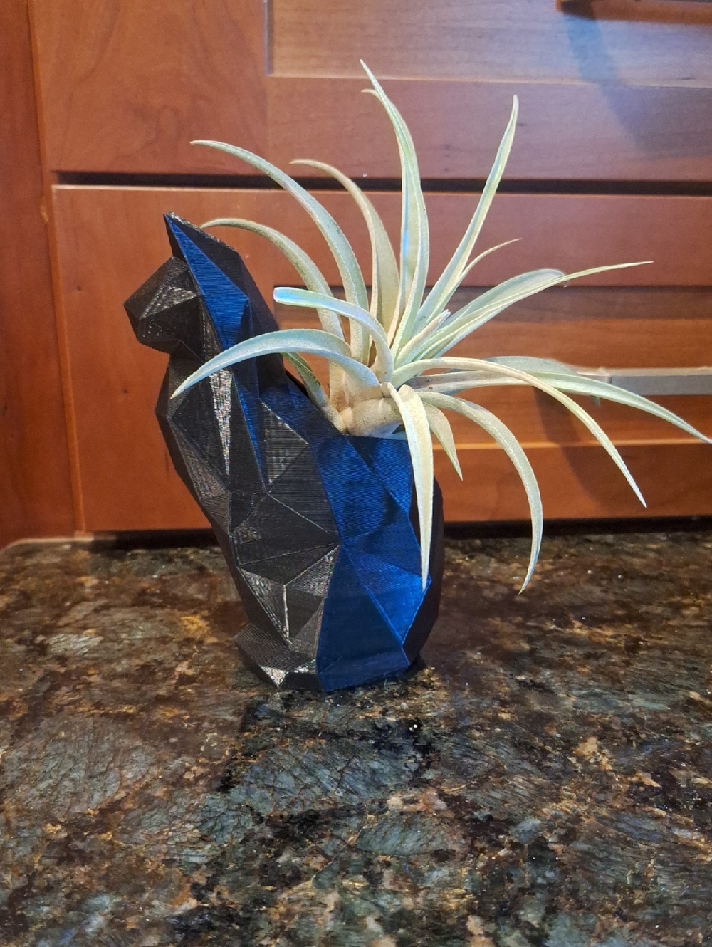 3D Printed Cat Planter in Black with Live Air Plant
